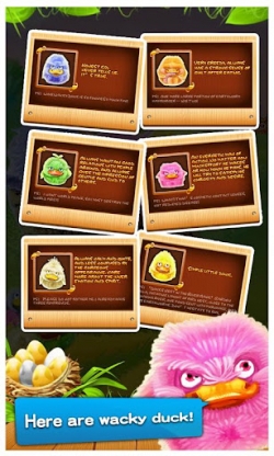 Wacky Duck Storm       !