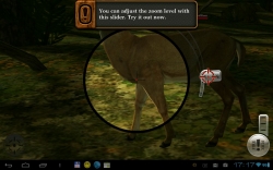 Deer Hunter Reloaded [+   ]