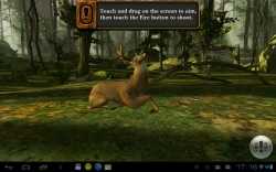 Deer Hunter Reloaded [+   ]
