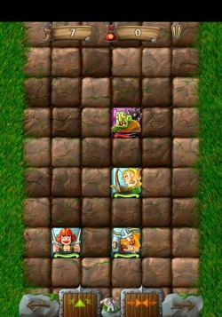 Rune Raiders      