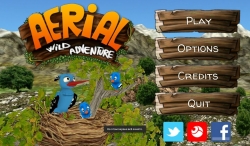 Aerial Wild Adventure   