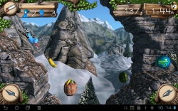 Aerial Wild Adventure   