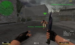 Critical (Counter) Strike Portable [+ ]