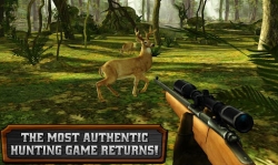 Deer Hunter Reloaded [+   ]