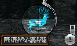 Deer Hunter Reloaded [+   ]