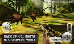 Deer Hunter Reloaded [+   ]