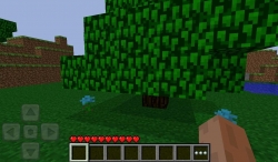Minecraft () Pocket Edition 3D [+PocketInvEditor Pro]
