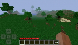 Minecraft () Pocket Edition 3D [+PocketInvEditor Pro]
