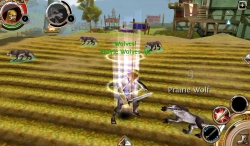     (Order & Chaos Online)