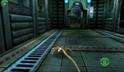 AVP (Aliens vs Predators): Evolution [+]