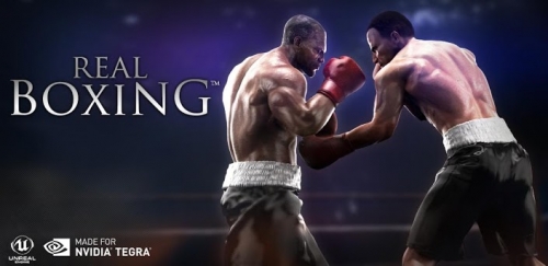 Real Boxing