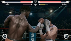 Real Boxing