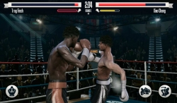 Real Boxing