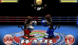 Monkey Boxing    