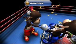 Monkey Boxing    