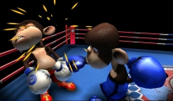 Monkey Boxing    
