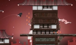 Ninja Run (  )