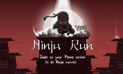 Ninja Run (  )