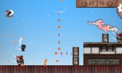Ninja Run (  )