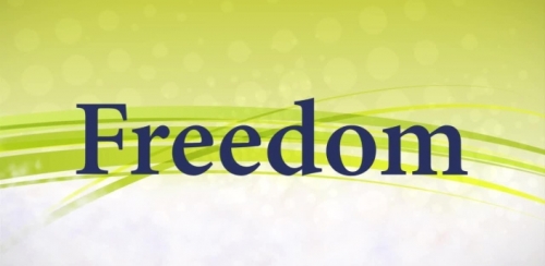 Freedom v1.0.8a   ,     ,  