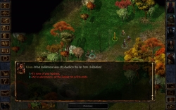 Baldur's Gate: Enhanced Edition