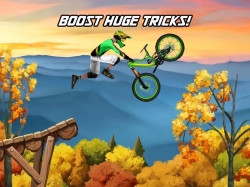 Bike Mayhem Mountain Racing