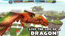 World of Dragons: Simulator
