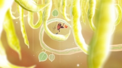 Botanicula ()