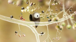 Botanicula ()