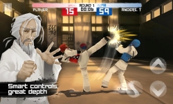 Taekwondo Game