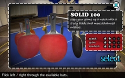 Table Tennis Touch