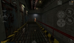 Half-Life