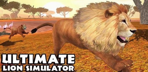 Ultimate Lion Simulator