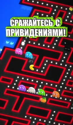 PAC-MAN 256 - Endless Maze ( ) [+]