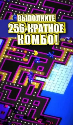 PAC-MAN 256 - Endless Maze ( ) [+]