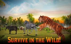 Adventures of Wild Tiger