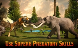 Adventures of Wild Tiger