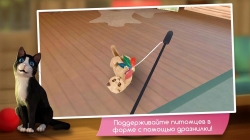 CatHotel - Hotel for cute cats (   )