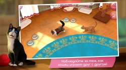 CatHotel - Hotel for cute cats (   )