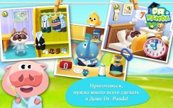Dr. Panda Home (  )