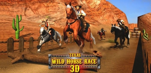 Texas Wild Horse Race 3D