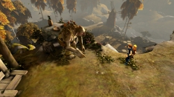 Brothers: a Tale of two Sons