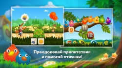 Tim the Fox  Travel (  )