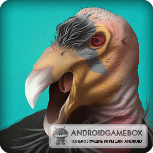 Condor Country