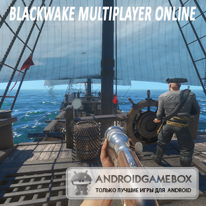 Blackwake Multiplayer Sims 3D