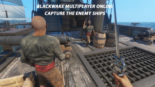 Blackwake Multiplayer Sims 3D